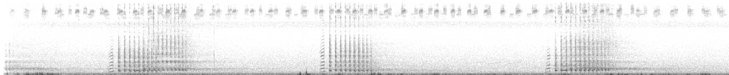カナダヅル（pratensis） - ML248776771
