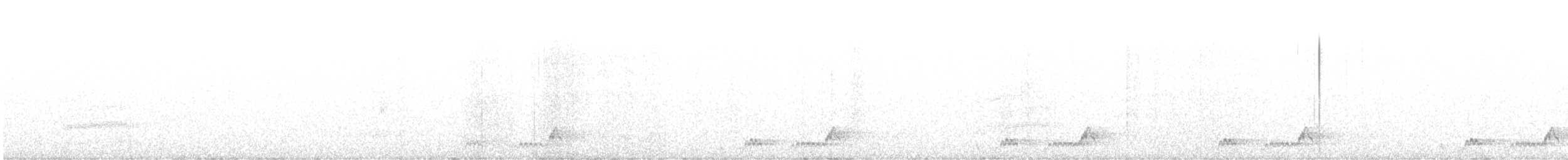 Mexikonachtschwalbe - ML248783161
