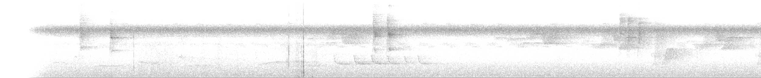Белокрылый бекард - ML248808761