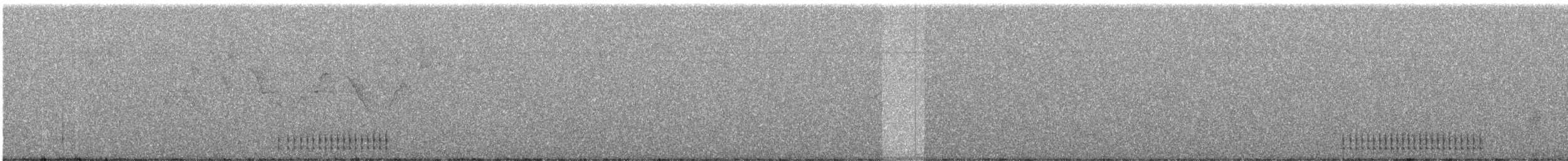 Kara Yazılı Ağaçkakan - ML248829