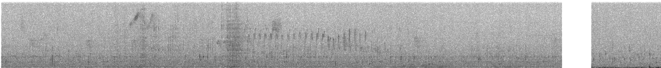 ハジロヤブシトド（paynteri） - ML248832