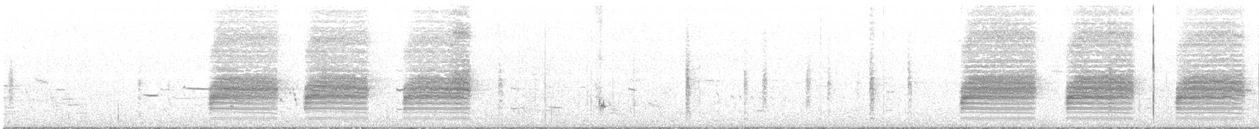 Loggerhead Shrike - ML248834571