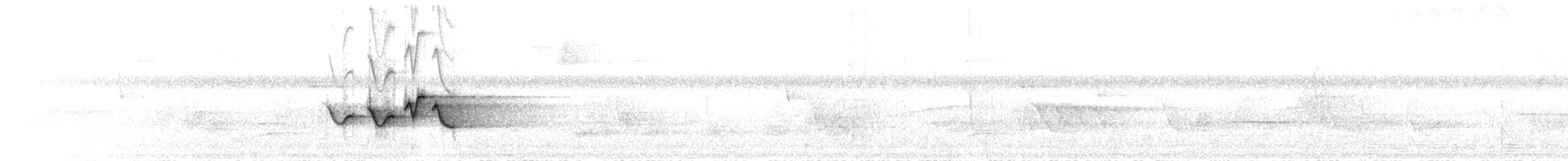 Hooded Warbler - ML248839691