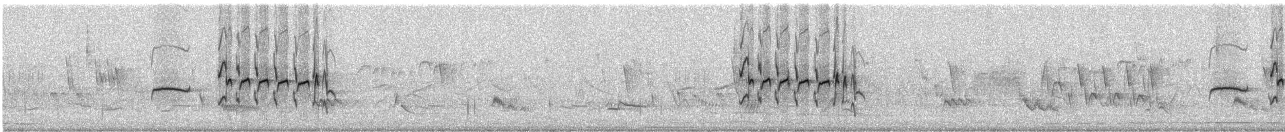 Güneyli Bıyıksız Tiranulet [obsoletum grubu] - ML248844