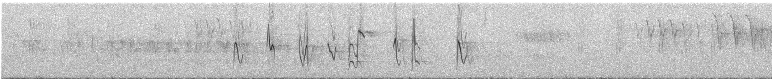 Graubauch-Finkentangare - ML248855