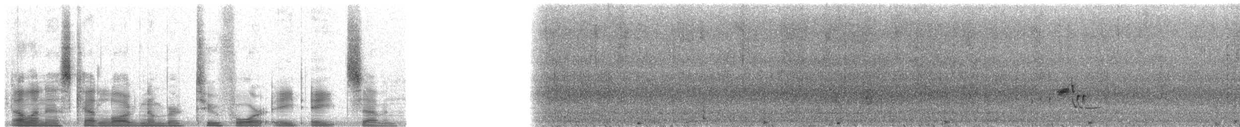 papyrusklorsanger (bensoni) - ML24887