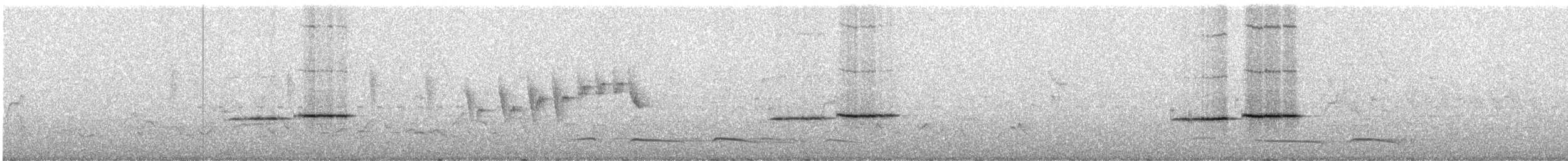 Дрізд-короткодзьоб сірий [група fuscater] - ML248874