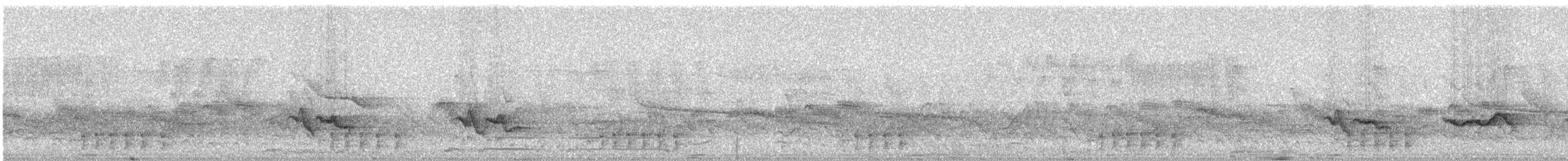 Merle de Reeve - ML248883