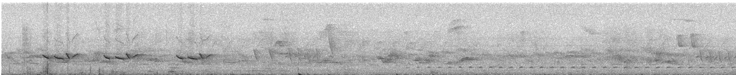 Cryptic Becard - ML248884