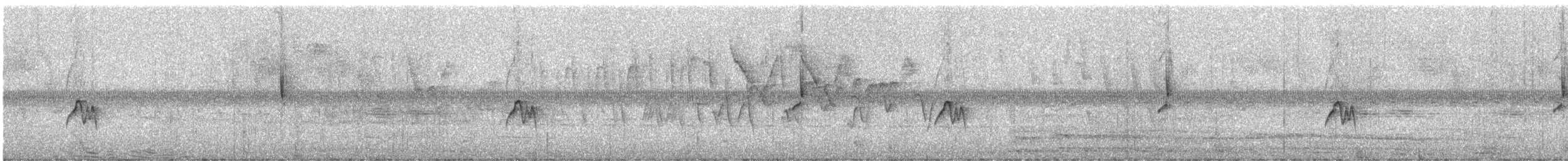 Grauschulter-Schnäppertyrann - ML248888