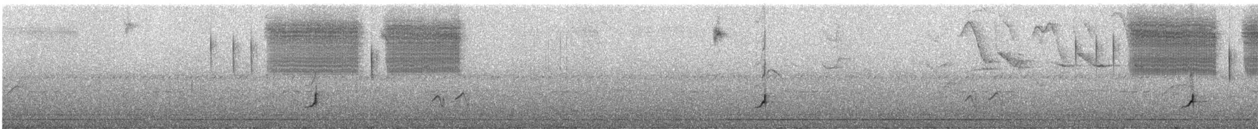 Schwarzschnabeldrossel (debilis) - ML248896