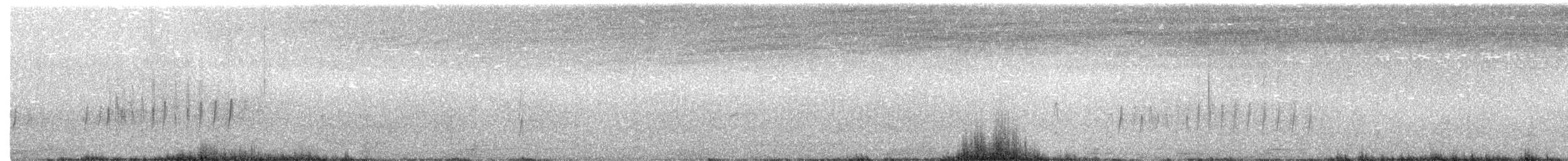 Western Kingbird - ML248905581