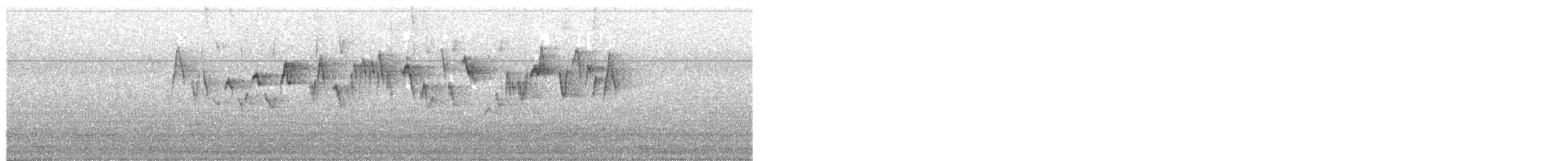 Troglodyte de Baird - ML24891511