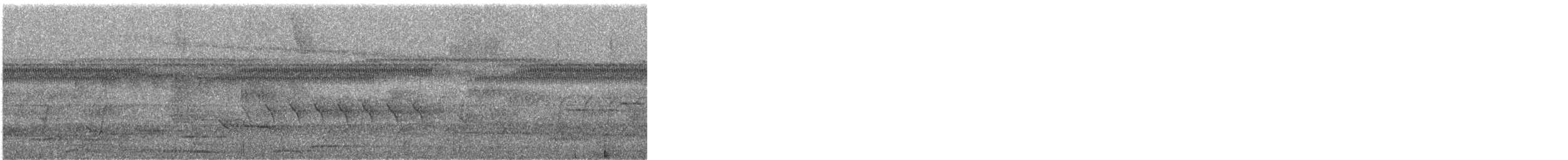 オオヒメコノハドリ - ML248919191