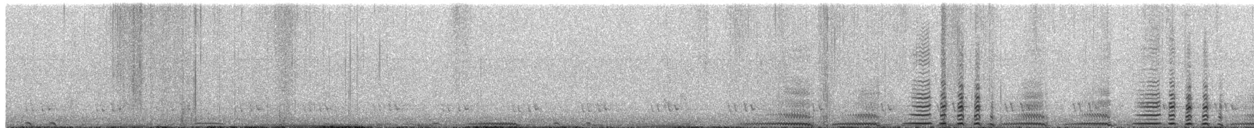 Лофур сріблястий - ML248929651
