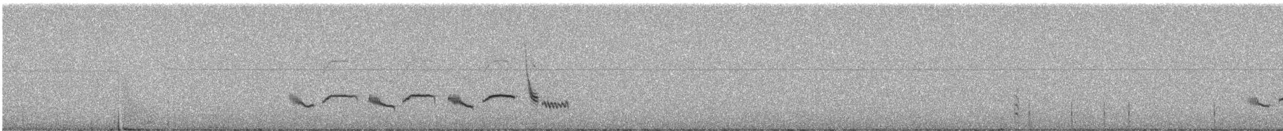 Çiguanko Ardıcı (anthracinus) - ML248955