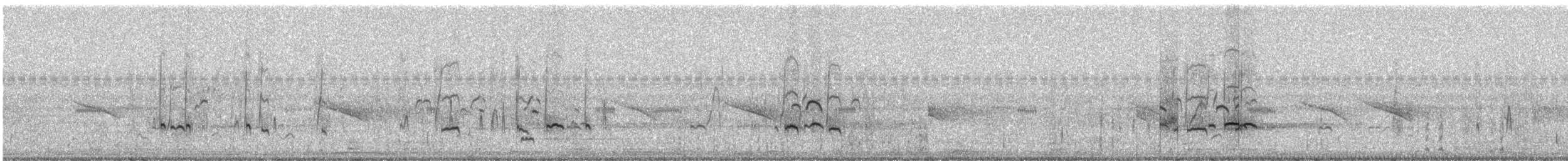 Yellow-billed Teal (flavirostris) - ML248976