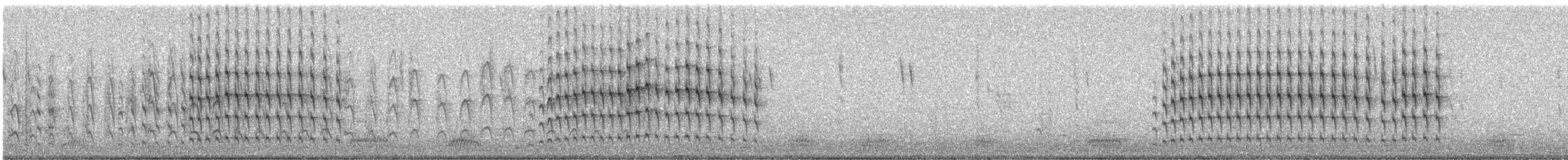 Guira Cuckoo - ML248991