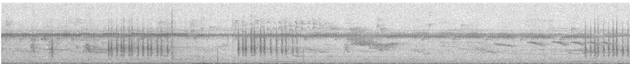 クビワヤマセミ（torquata／stictipennis） - ML249008