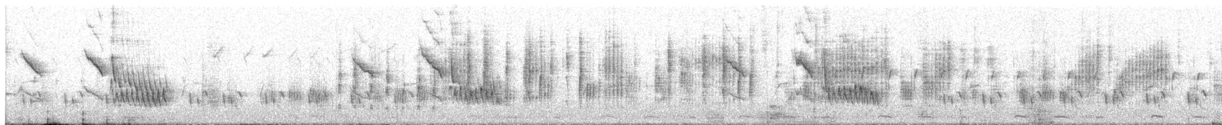 Prinia Ventripálida - ML249019611