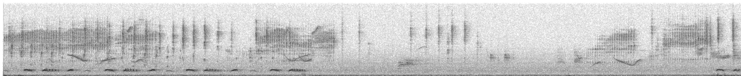 Prinia Ventripálida - ML249019901