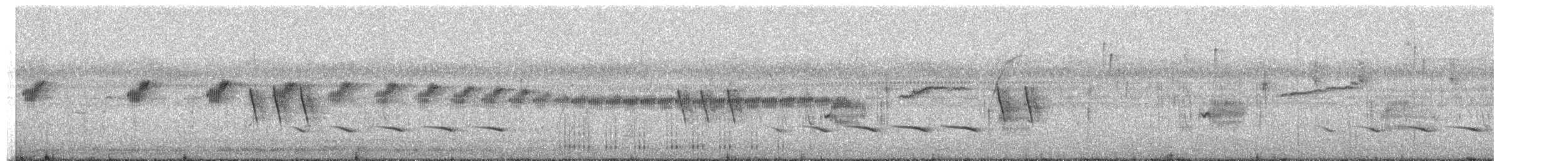 Highland Rush Warbler - ML249022651