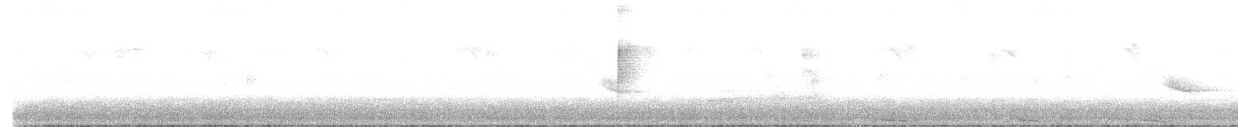 kukačka dešťová - ML249082931