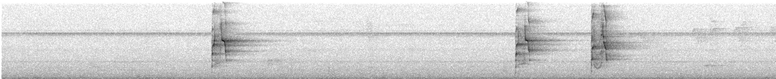 Pale-mandibled Aracari (Pale-billed) - ML249107