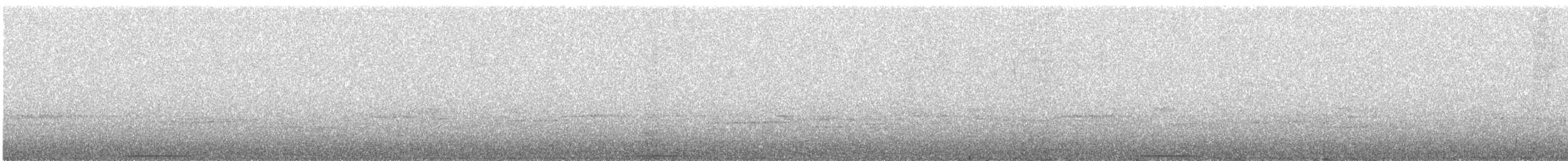 Лінивка білолоба - ML249113