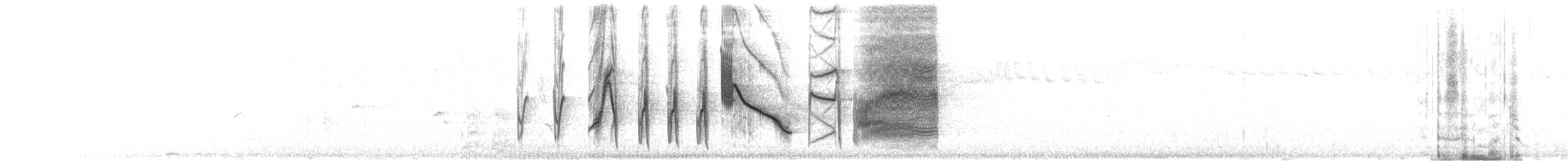 Long-tailed Meadowlark - ML249123001