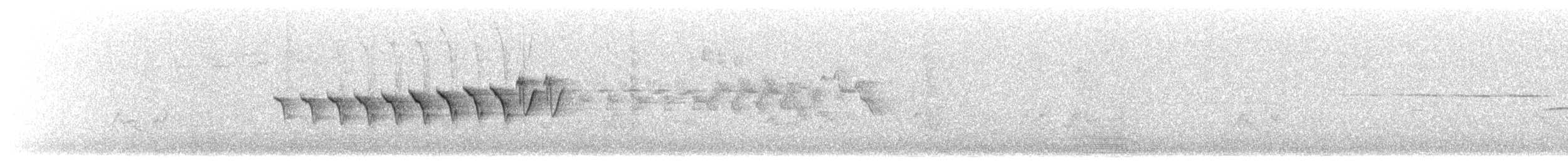 Paruline à croupion jaune (coronata) - ML249131341