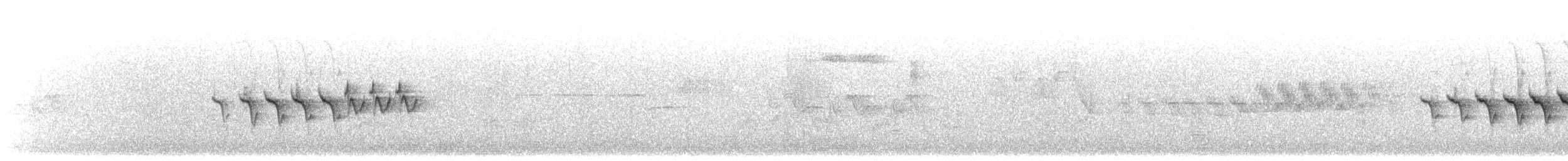 キヅタアメリカムシクイ（coronata） - ML249131571