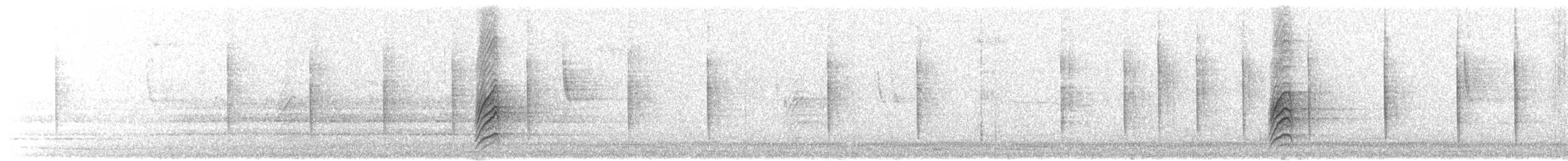 drozd falklandský - ML249132231