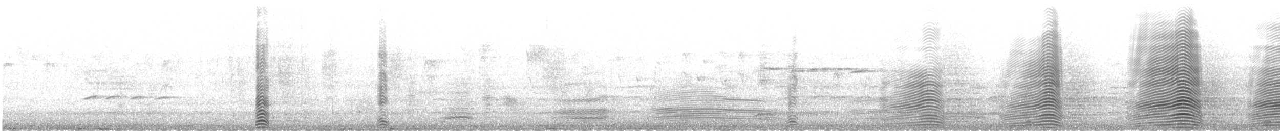Gaviota de Tasmania - ML249152861