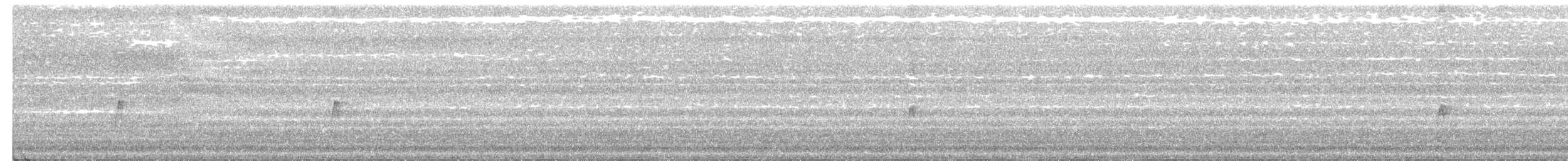 ハモンドメジロハエトリ - ML249160521