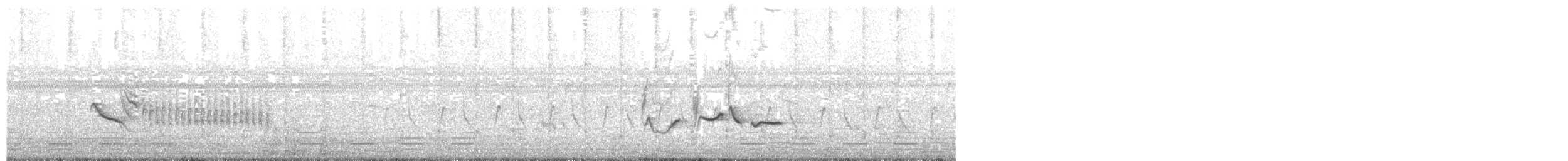 White-tailed Iora - ML249163571