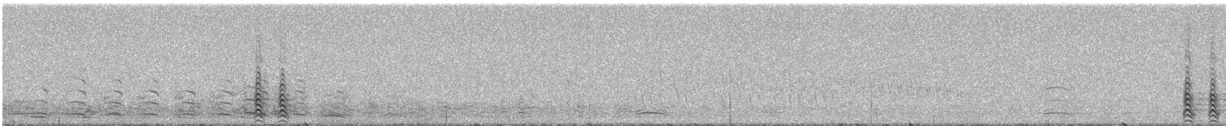 Lesser Black-backed Gull (intermedius) - ML249166