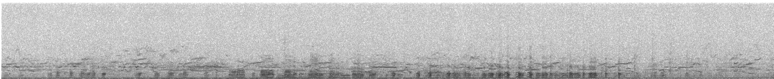 קורמורן גדול (אירואסייתי) - ML249170