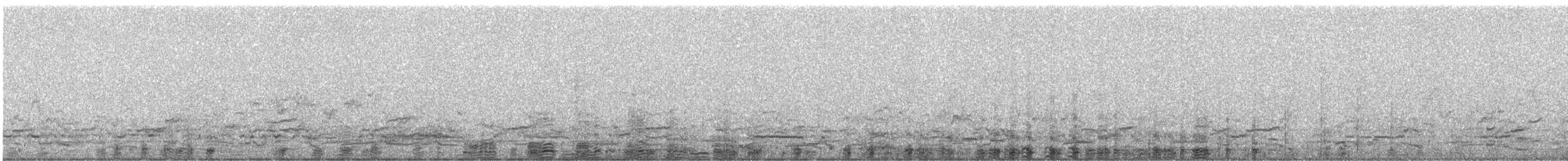 Grand Cormoran (sinensis/hanedae) - ML249170