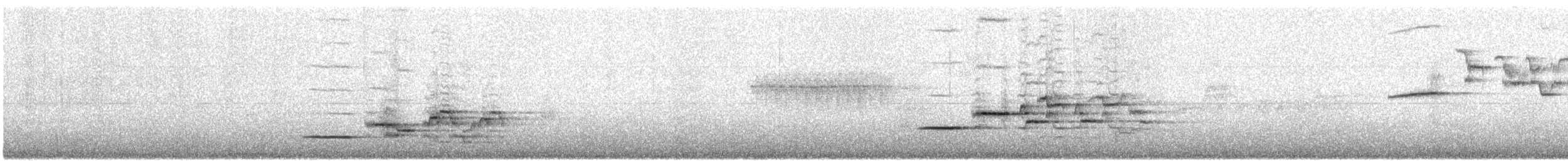 Дрізд-короткодзьоб плямистоволий - ML249182971