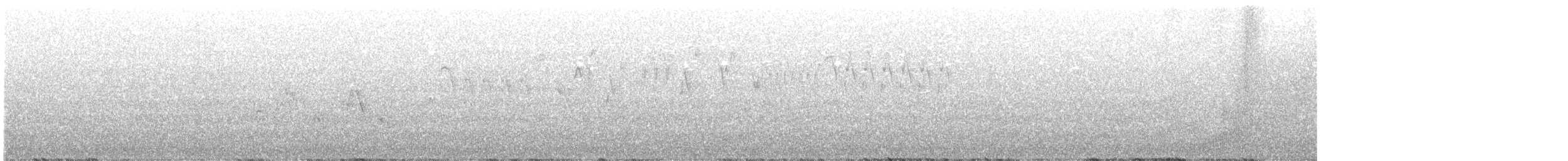 Troglodyte de Baird - ML249192701