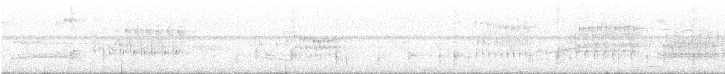 Troglodyte des marais - ML249204041