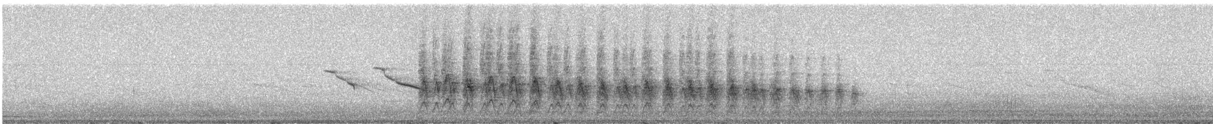 コオニクイナ（aequatorialis/meyerdeschauenseei） - ML249225