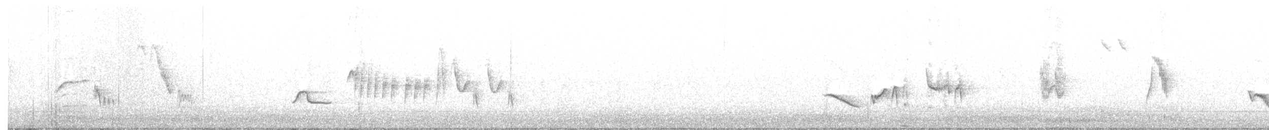 hekkskvett (galactotes gr.) - ML249226281