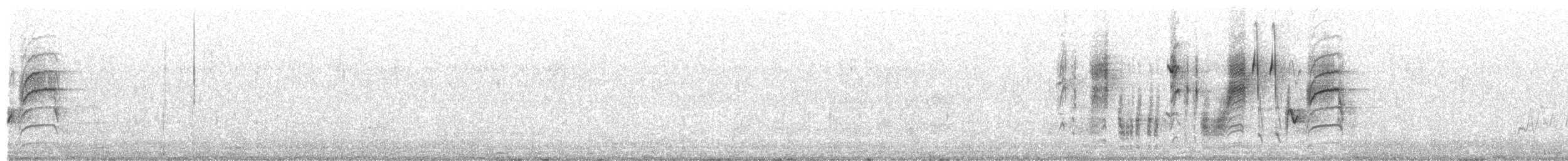 Troglodyte montagnard - ML249233431