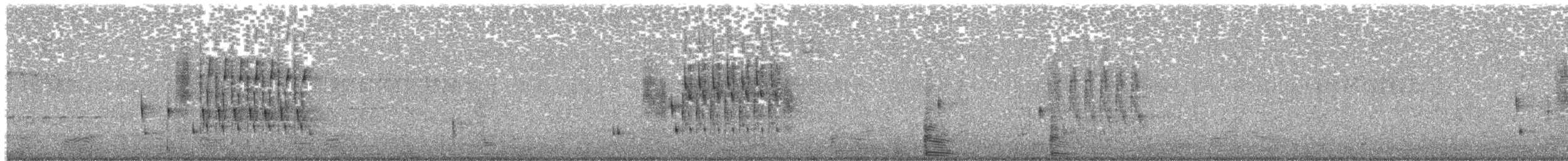 Troglodyte des marais - ML249241381