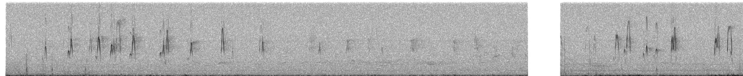 Waldschnepfe - ML249261