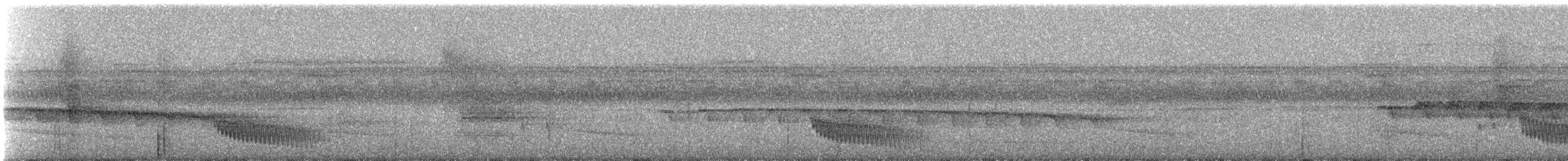 Мурав’янка сірочерева (підвид torquata) - ML249303