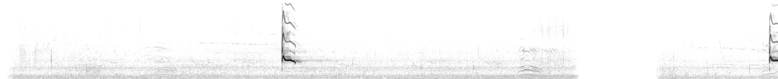 Kuliska hankahori txikia - ML249306561