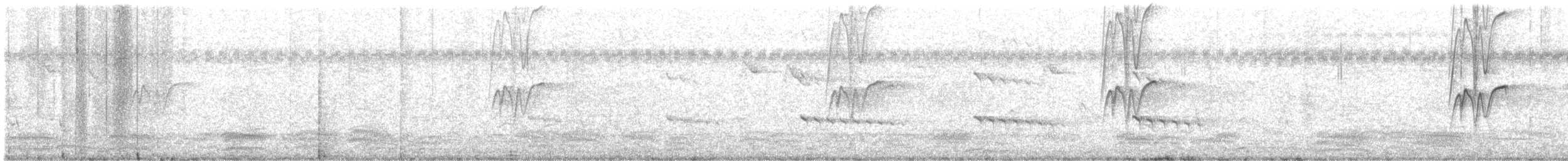 Cava Islıkçı Ördeği - ML249355241